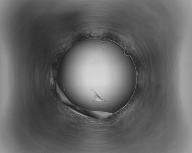 X0000115690962200911191111