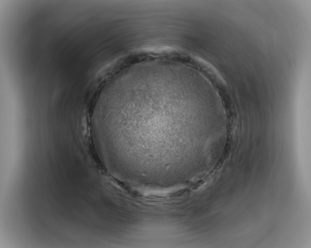 X0000115690966200911191111