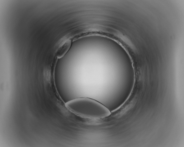 X0000115690969200911191111