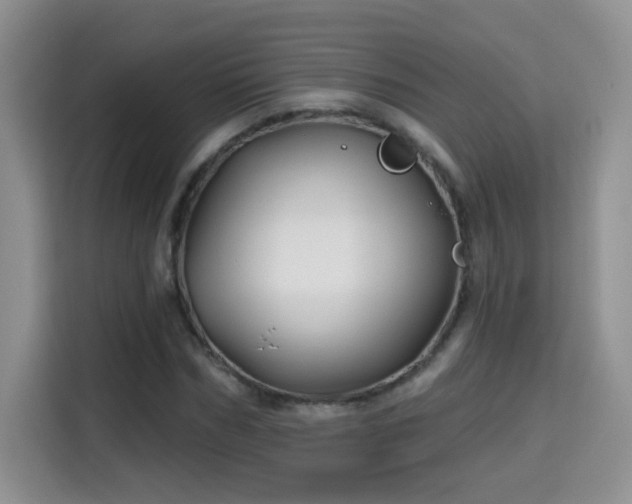 X0000115690970200911191110