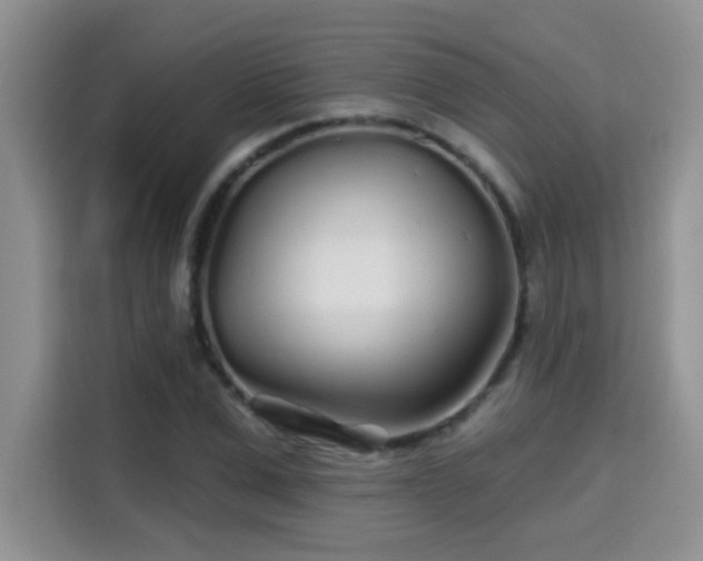 X0000115690975200911191110