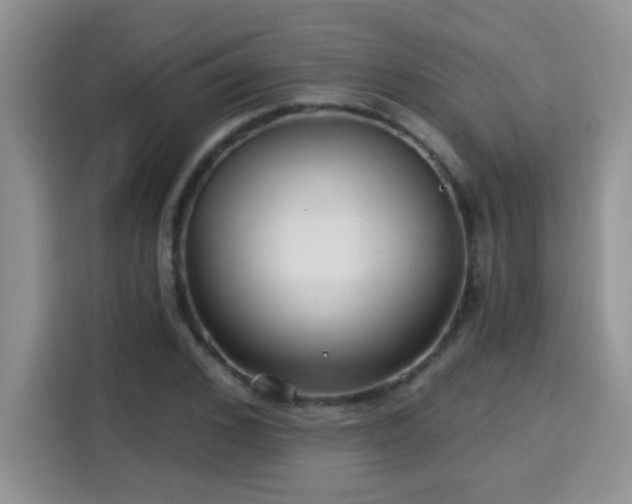 X0000115690976200911191110