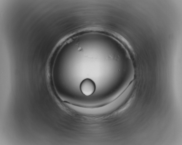 X0000115690981200911191110