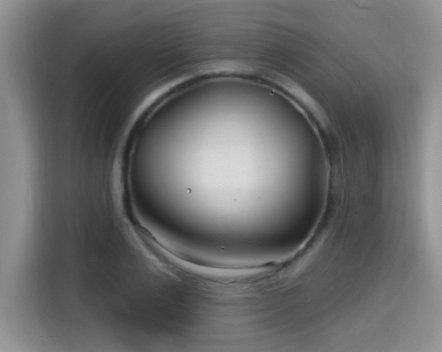 X0000115690983200911191110