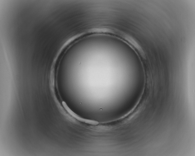 X0000115690984200911191110