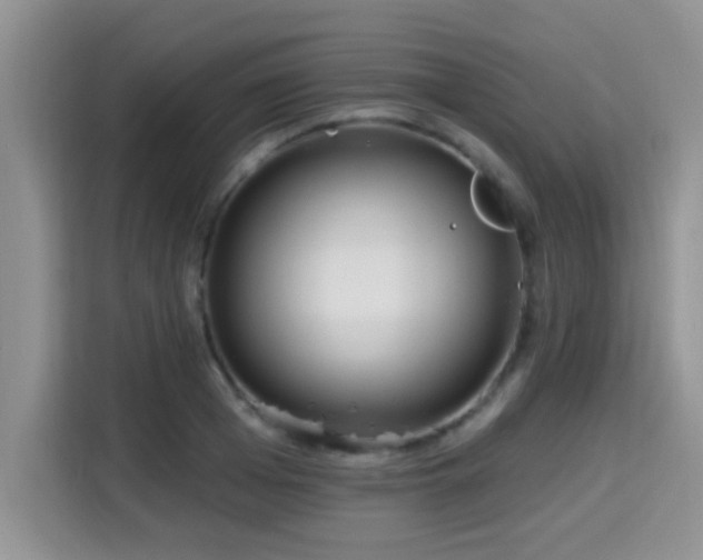 X0000115690985200911191110