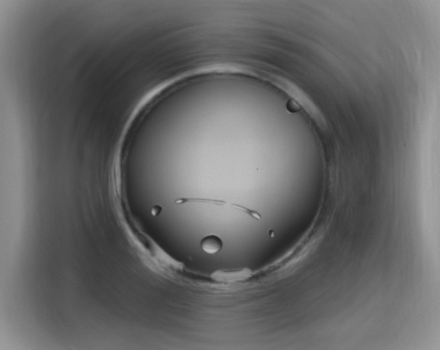 X0000115690988200911191110