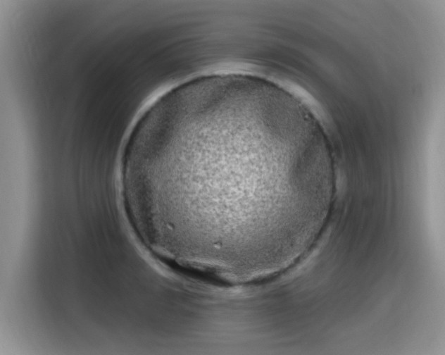 X0000115690990200911191110