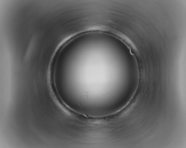 X0000115690991200911191110