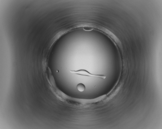 X0000115690993200911191110