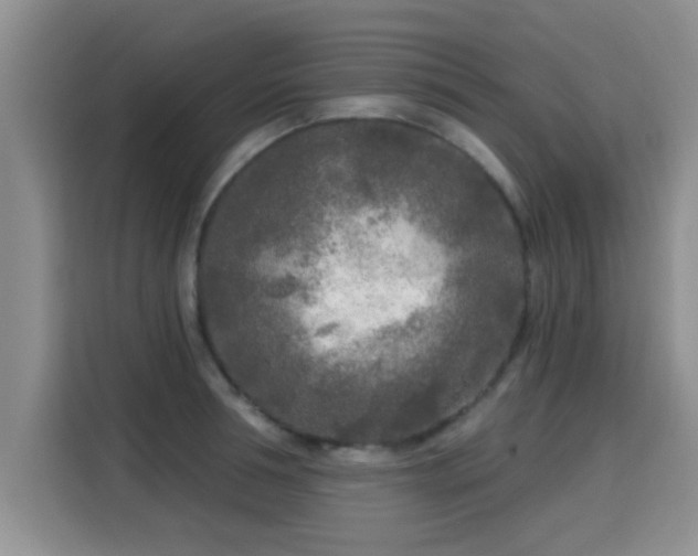 X0000115690994200911191110