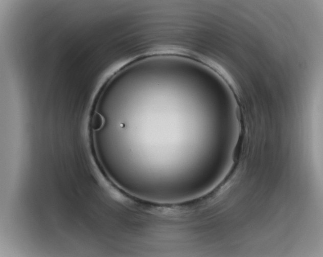 X0000115690995200911191110