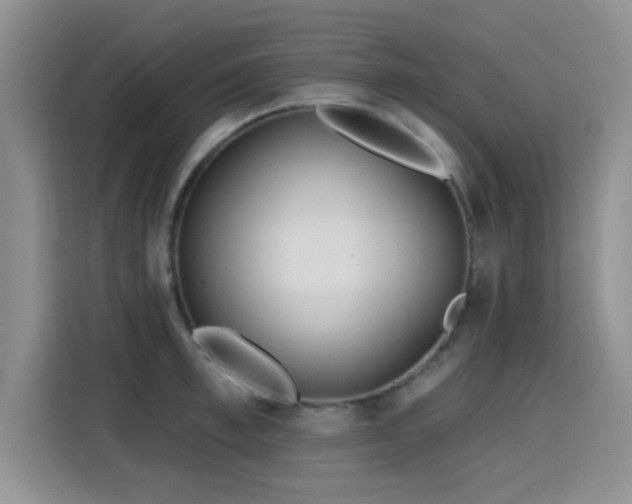 X0000115690997200911191110