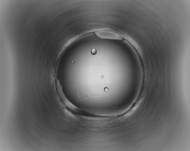 X0000115691001200911191110