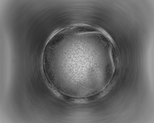 X0000115691002200911191110