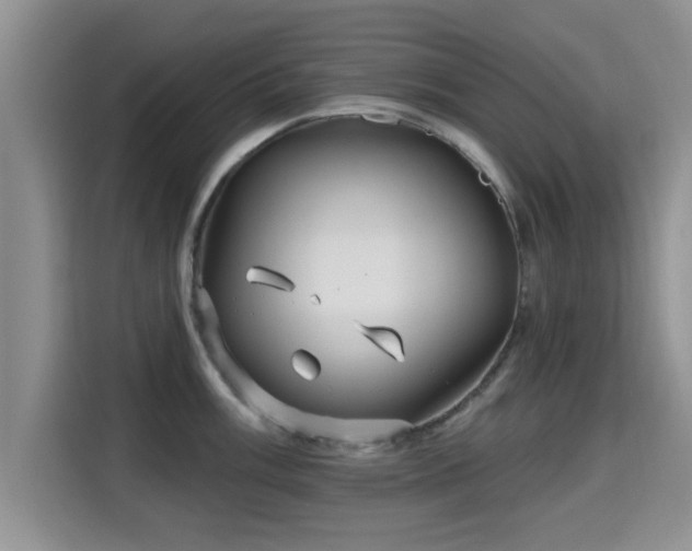 X0000115691003200911191110