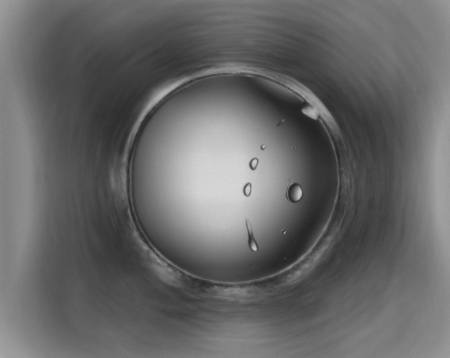 X0000115691004200911191110