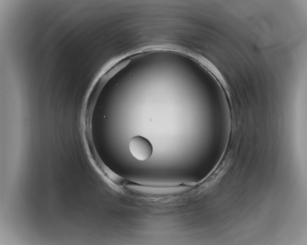 X0000115691005200911191110