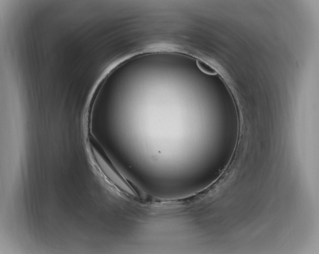 X0000115691008200911191110