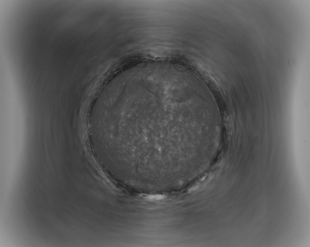 X0000115691009200911191109