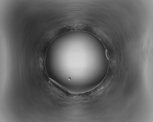 X0000115691010200911191109