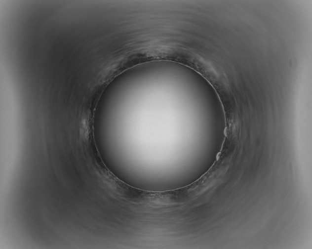 X0000115691012200911191109