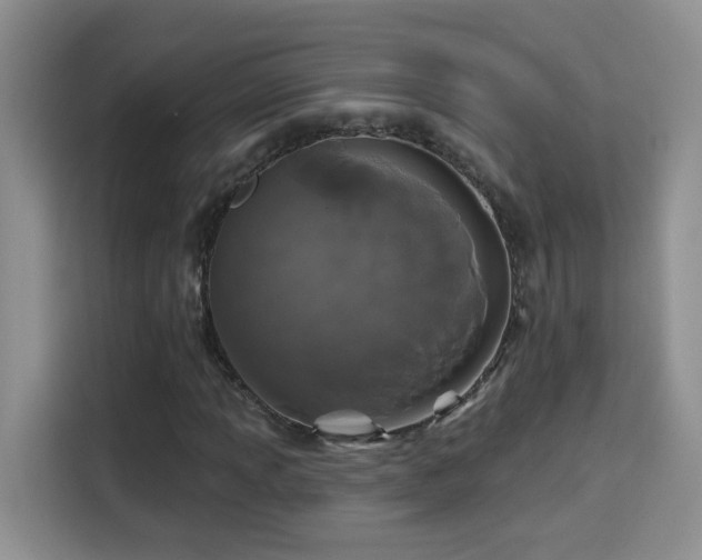 X0000115691013200911191109