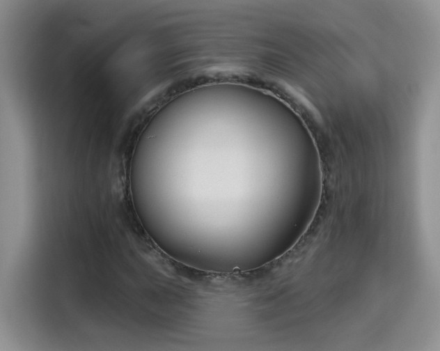 X0000115691015200911191109