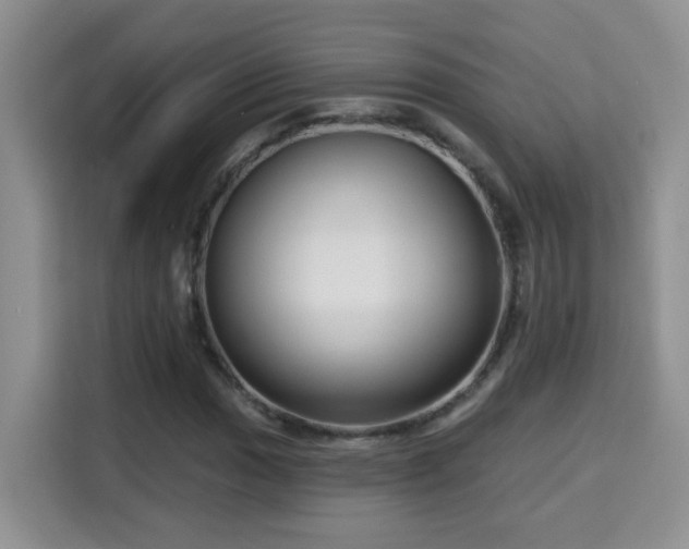 X0000115691017200911191109