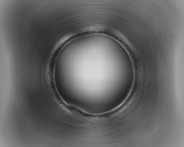 X0000115691018200911191109