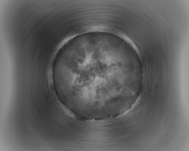 X0000115691019200911191110