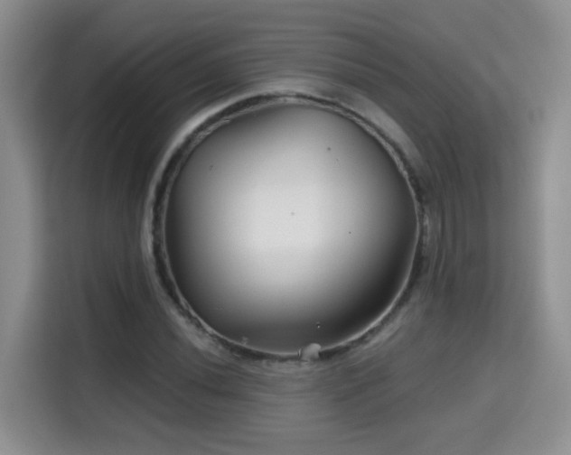 X0000115691020200911191110