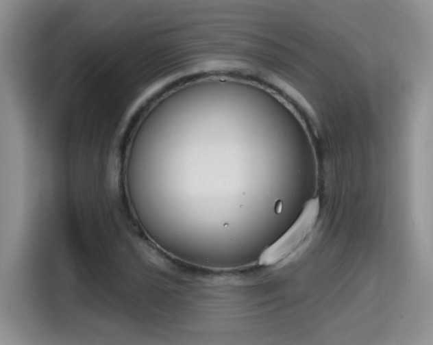 X0000115691021200911191110