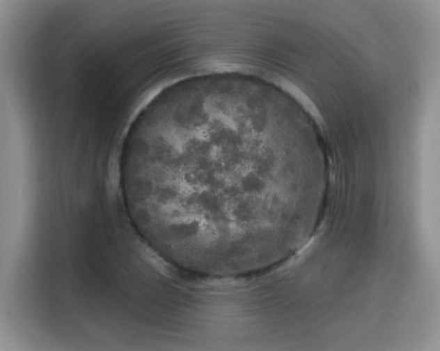 X0000115691023200911191110