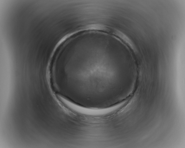 X0000115691024200911191110