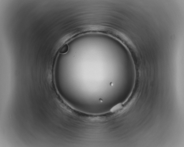 X0000115691025200911191110