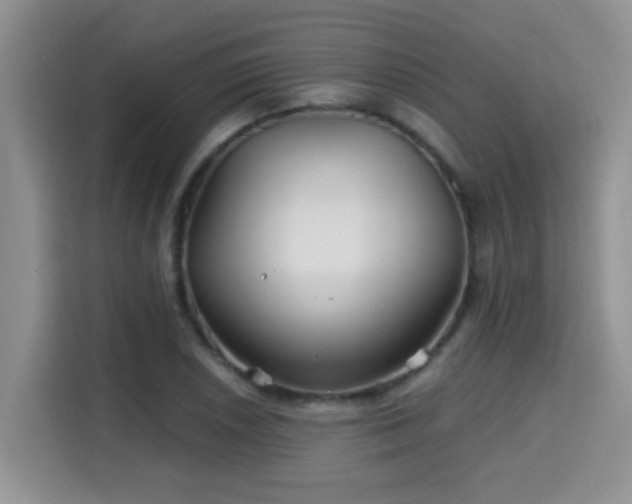 X0000115691026200911191110