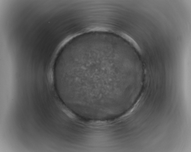 X0000115691027200911191110