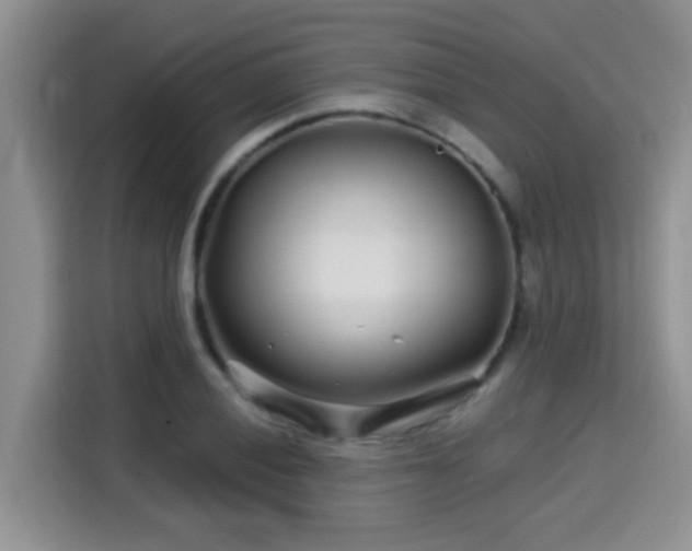 X0000115691028200911191110