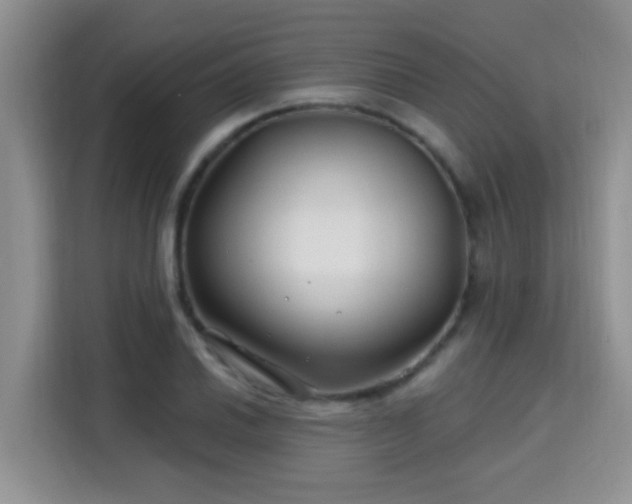 X0000115691030200911191110