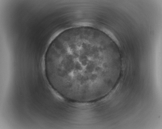 X0000115691031200911191110