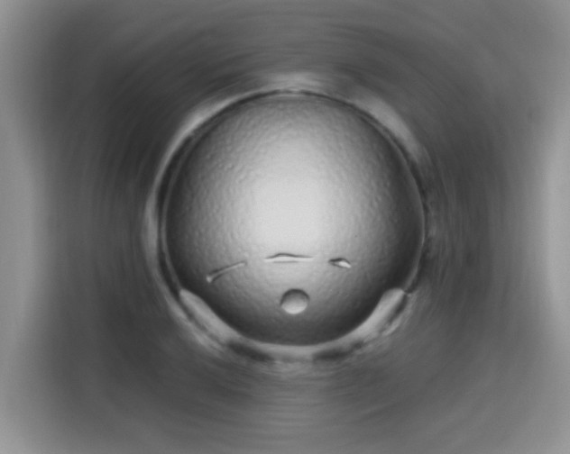 X0000115691032200911191110