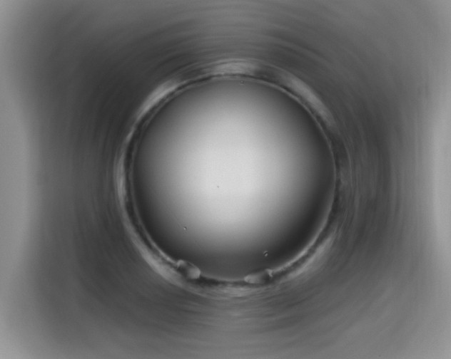 X0000115691034200911191110