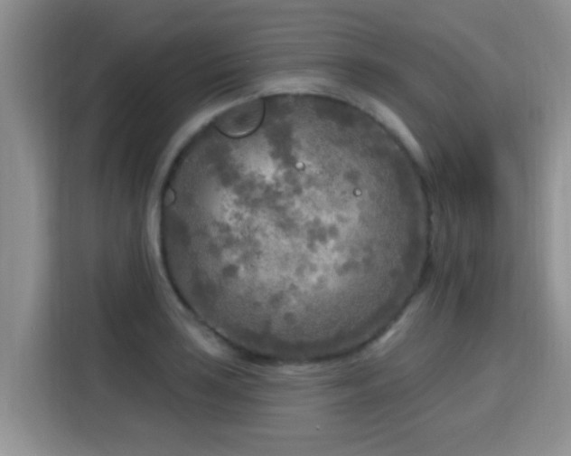 X0000115691035200911191110