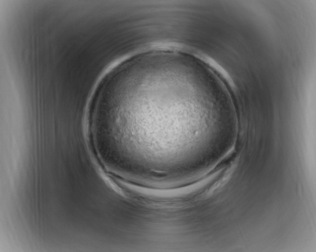 X0000115691037200911191110