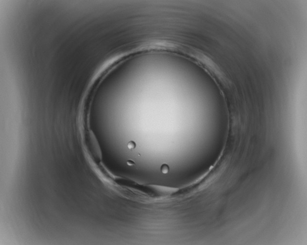 X0000115691038200911191110