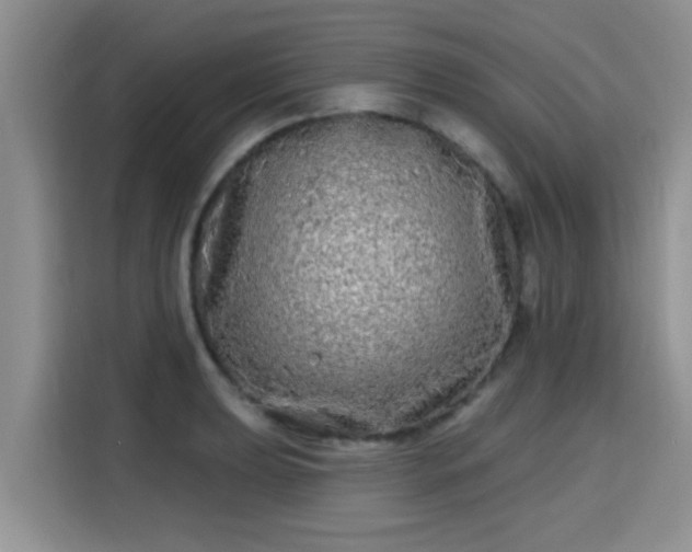 X0000115691039200911191110