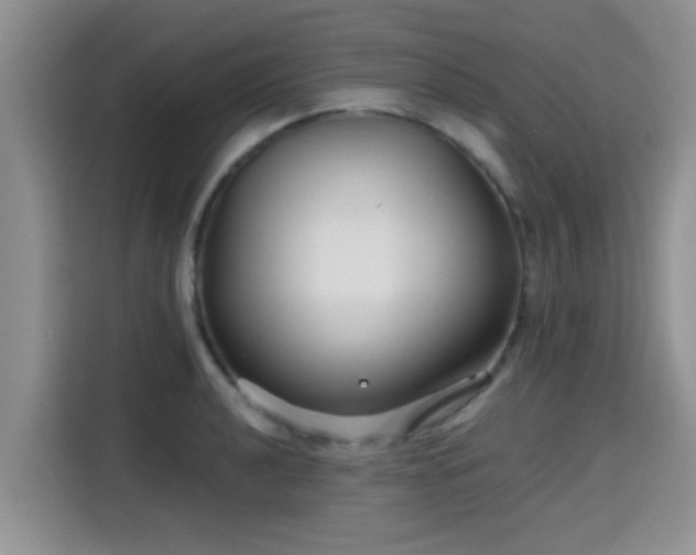 X0000115691040200911191110