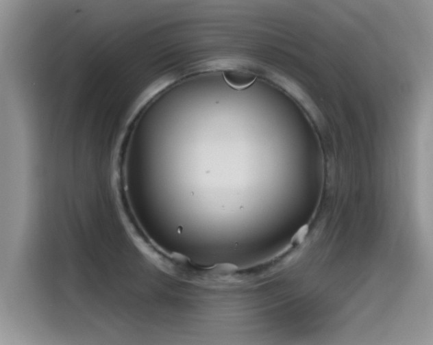 X0000115691042200911191110