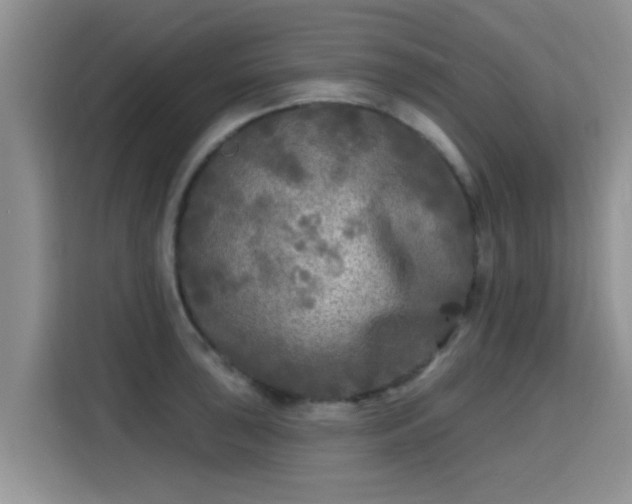 X0000115691043200911191110